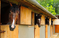 free High Wycombe stable construction quotes